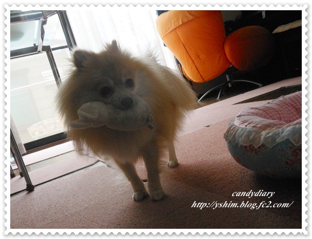 DSCN9407-003.jpg