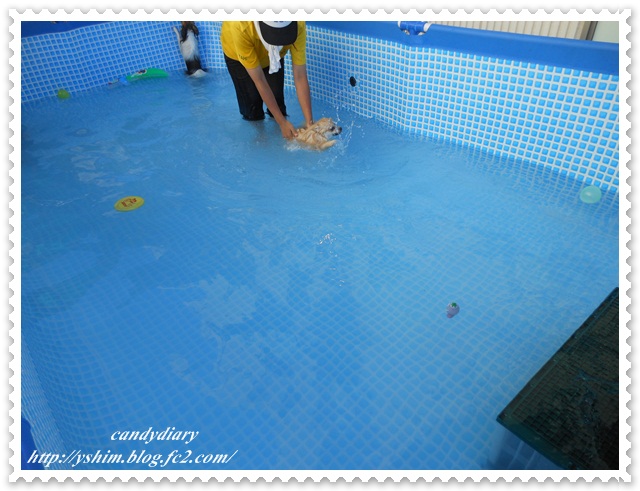 DSCN9817-003.jpg