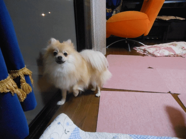 anigif_20120629232554.gif