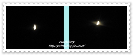 cats_20120823234706.jpg