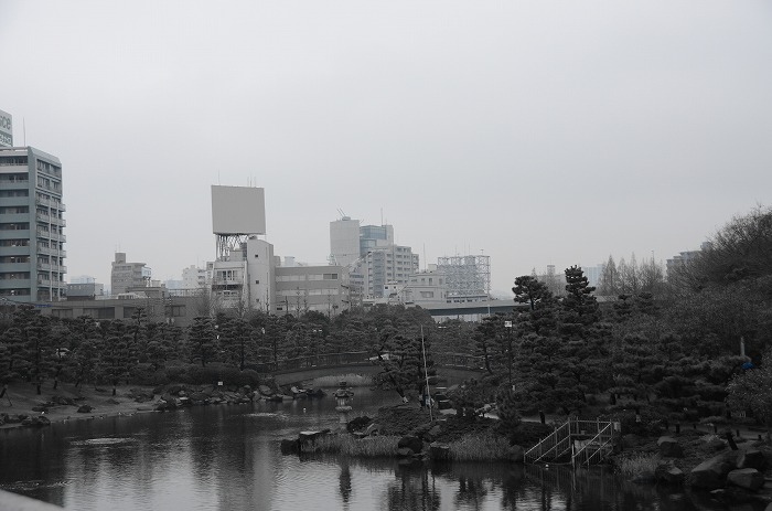 DSC_0349_20130105005757.jpg