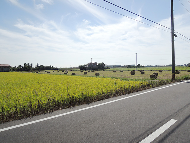 DSCN4769.jpg