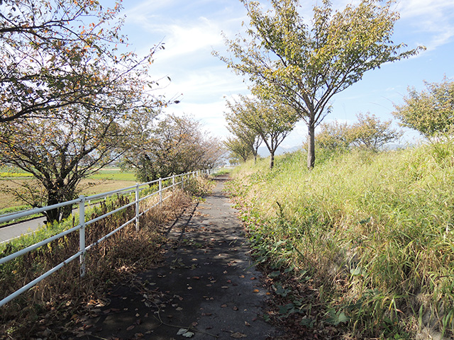 DSCN4773.jpg