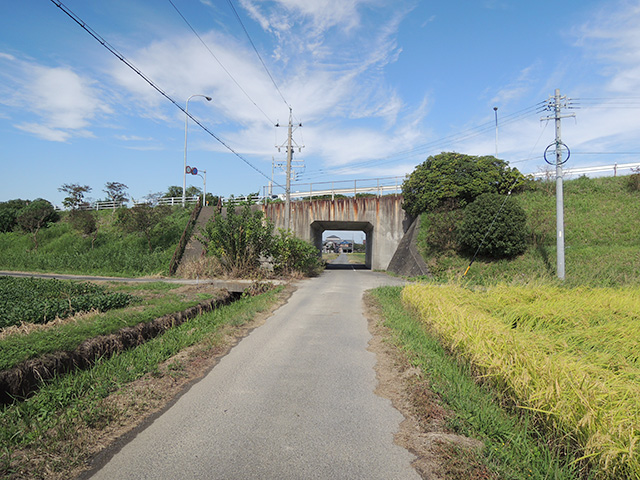 DSCN4802.jpg