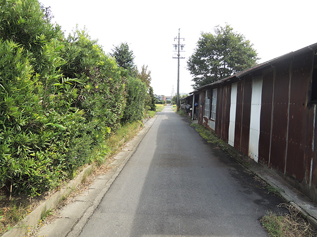 DSCN4810.jpg