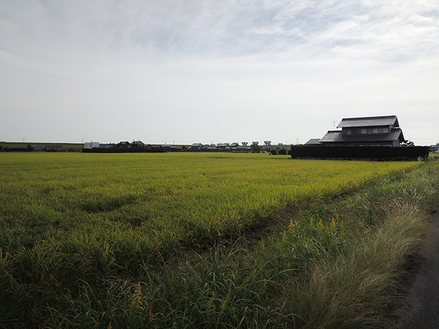 DSCN4811.jpg