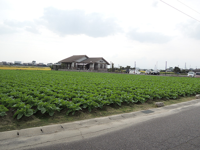 DSCN4822.jpg