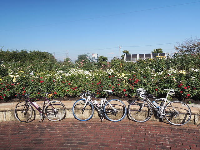 DSCN4868.jpg
