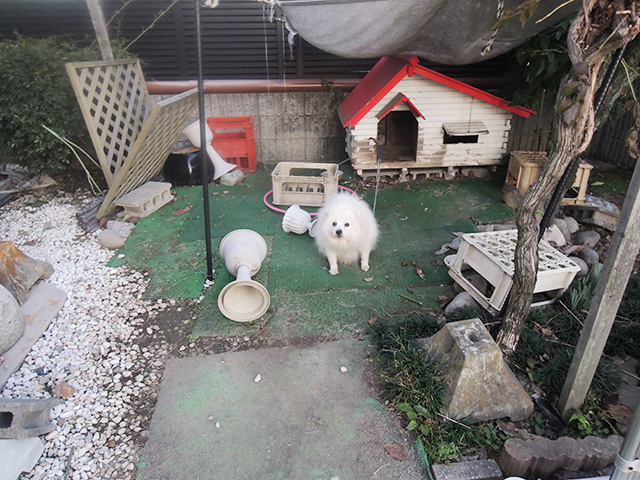 DSCN4877.jpg