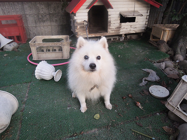 DSCN4878.jpg