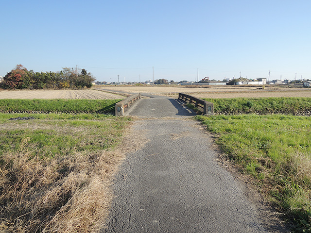 DSCN4906.jpg