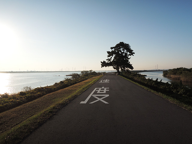 DSCN4920.jpg