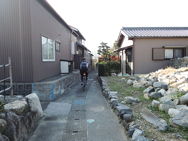 DSCN4931.jpg