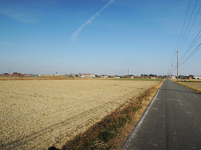 DSCN4933.jpg
