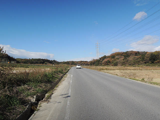 DSCN4960.jpg