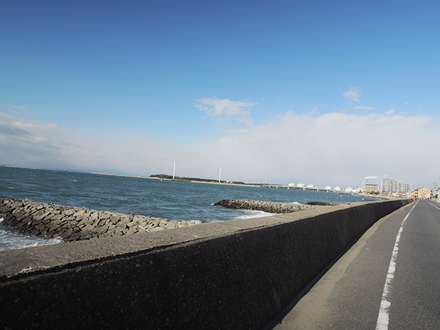 DSCN4962.jpg