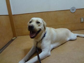 055_convert_20120629141127.jpg