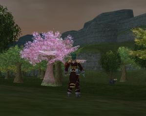 桜長いですね