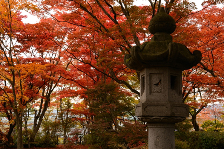 12.11.16紅葉園2-1