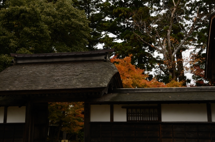 12.11.17-1長谷川邸