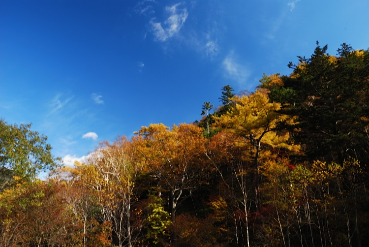 12.11.18-4金精峠