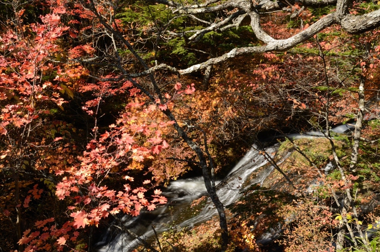 12.11.20-2竜頭の滝