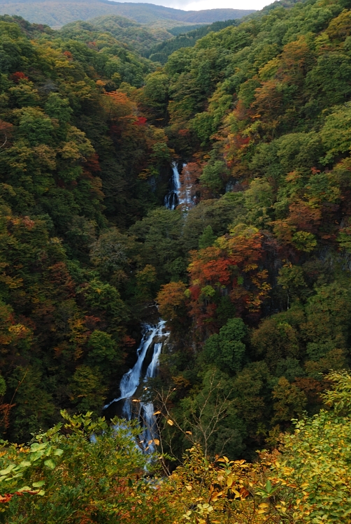 12.11.23-1霧振の滝
