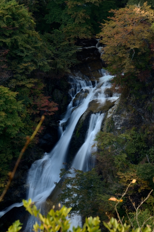 12.11.23-4霧振の滝