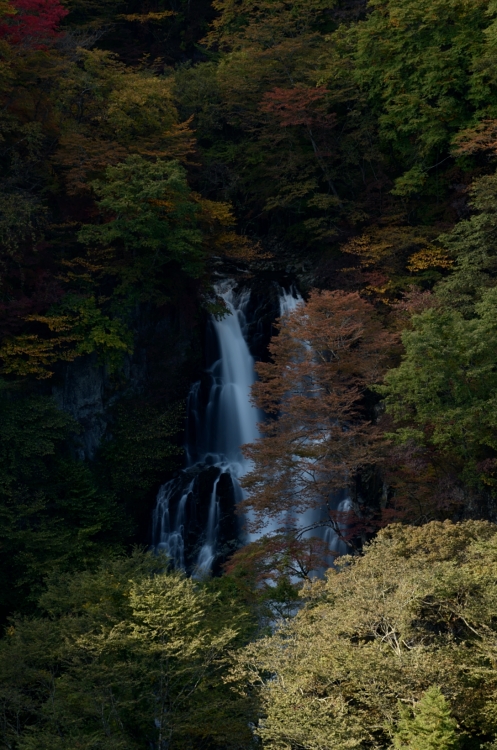 12.11.23-霧振の滝