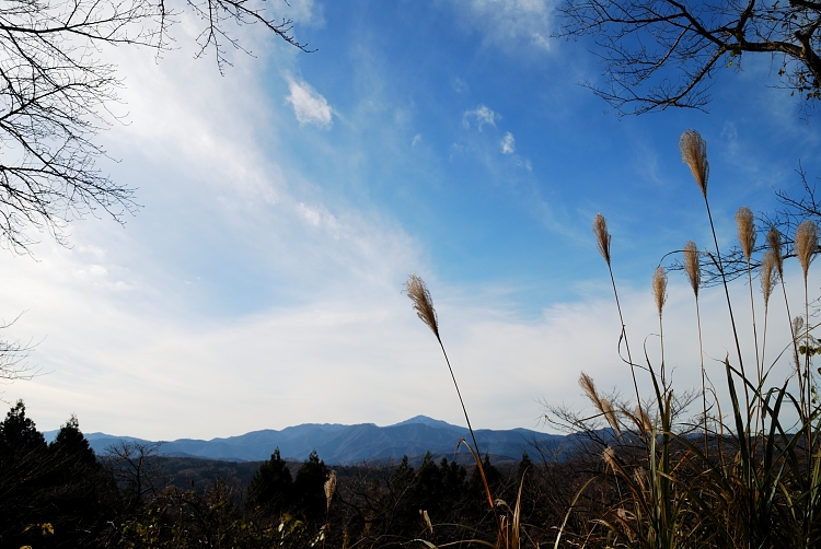 12.12.01-2米山
