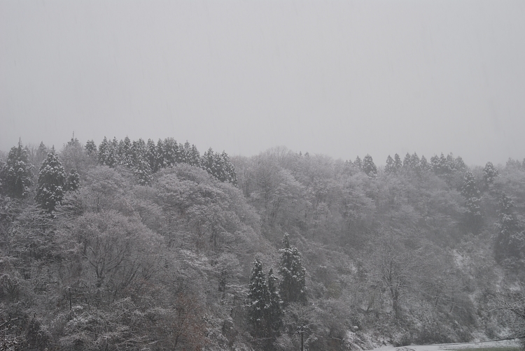 12.12.02-3雪景色