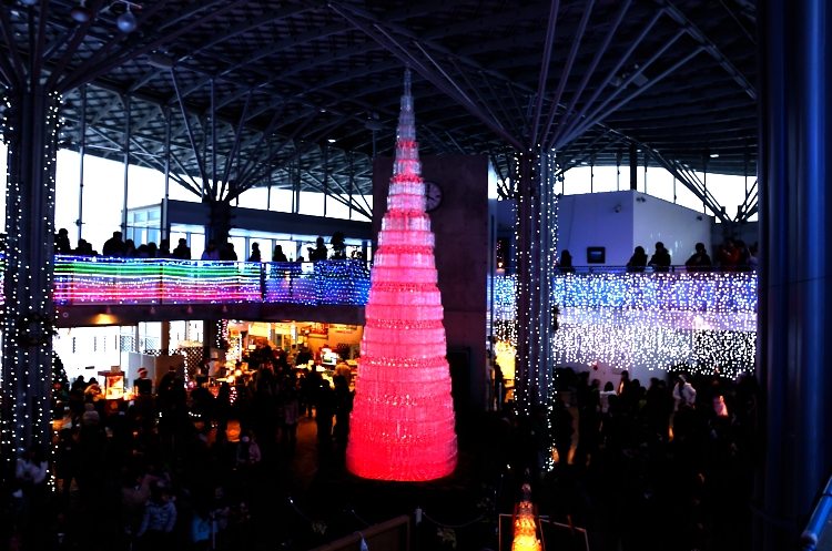12.12.24-3イルミネーシ