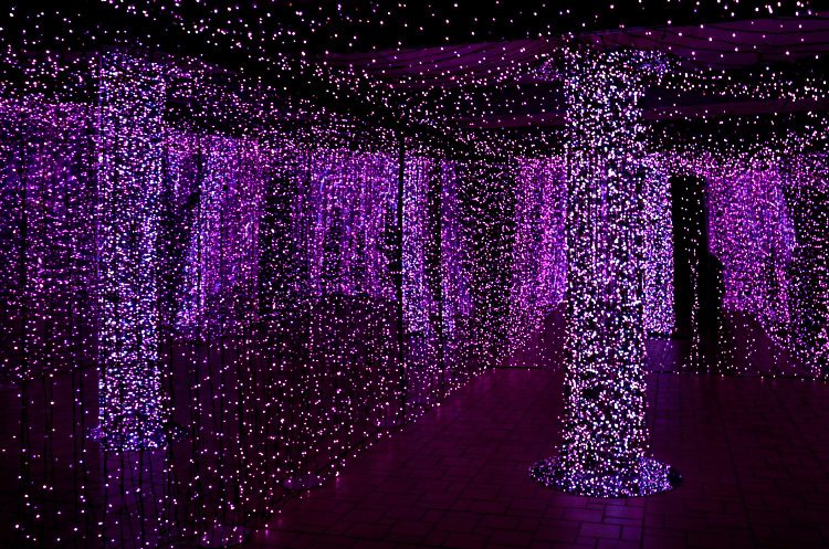 12.12.24-4イルミネーシ