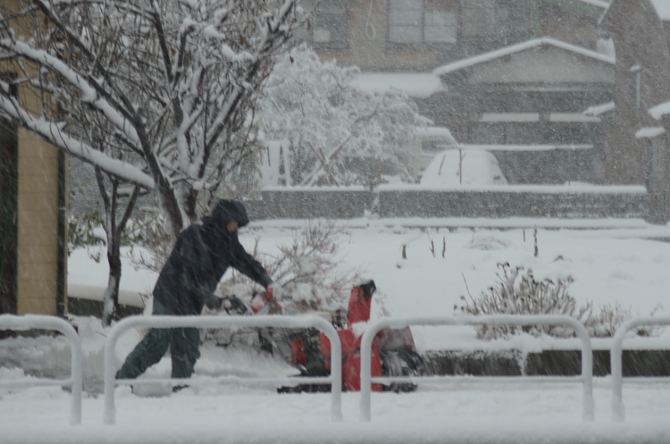 13.01.02-4雪の元旦