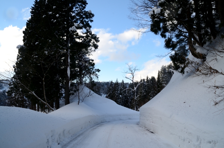 13.01.07-2雪国