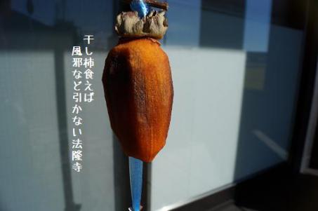 DSC04102.jpg