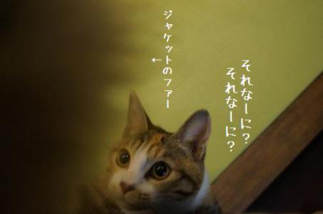 DSC04136.jpg