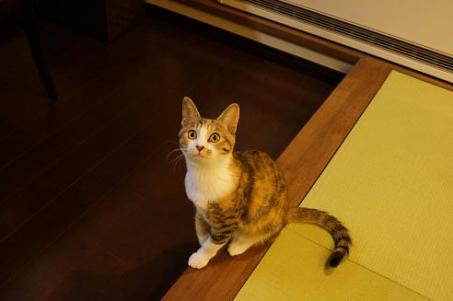 DSC04166.jpg