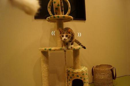 DSC04195.jpg