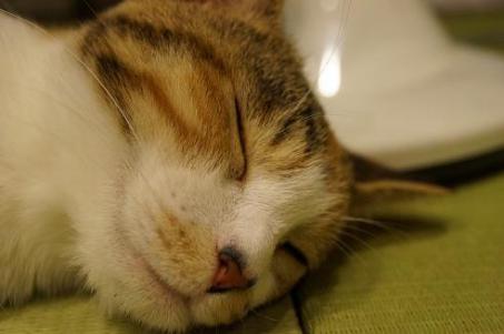 DSC05036.jpg