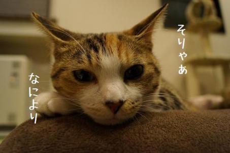 DSC05058.jpg