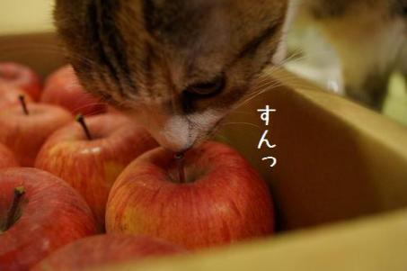 DSC05079.jpg