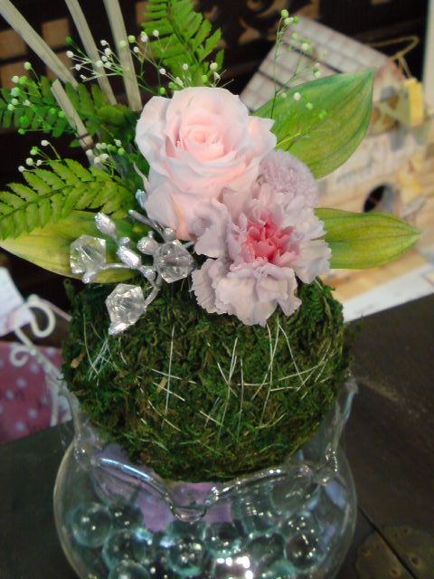 DSC00161.jpg
