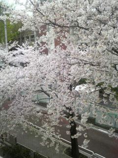 20110409151700001.jpg