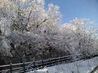 120124_103705.jpg