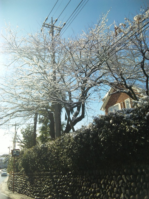 120124_102704.jpg
