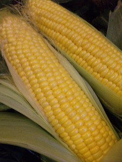 120629_19033511.jpg