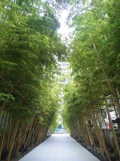 120722_10500511.jpg