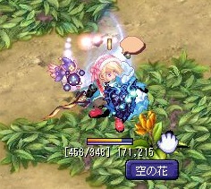 空の花